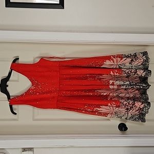 Nelli dress sz 6 color red black white floral  silk in good condition